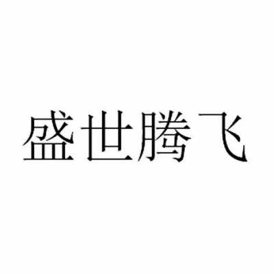 河南盛世腾飞数码科技（盛世腾飞科技有限公司）