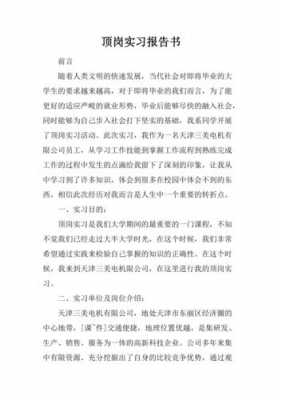 数码科技公司的顶岗实习岗位说明（数码科技业绩）