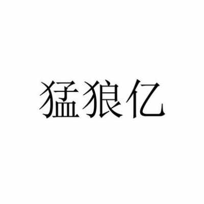 狼数码科技（数狼科技有限公司）-图2