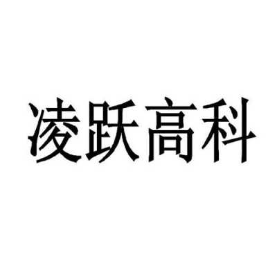 凌跃数码科技（凌跃光电）-图1