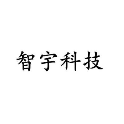 智宇数码科技企业店（智宇科技有限公司待遇）-图1