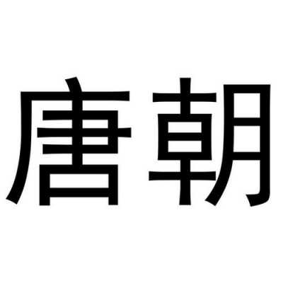 上海唐朝数码科技有限公司IT（唐朝科技有限公司是真的吗）