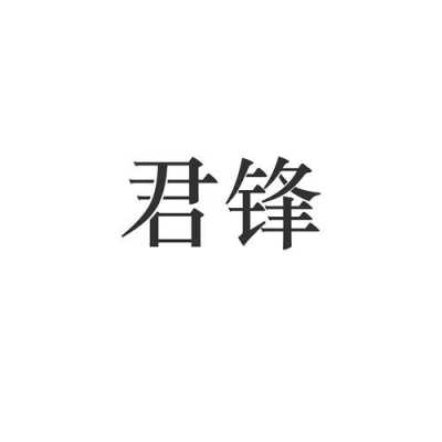 成武县君峰数码科技有限公司（君锋科技有限公司）