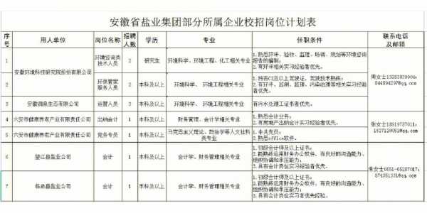 六安数码科技公司招聘（六安 科技有限公司）-图3