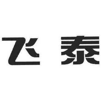 飞泰数码科技股份有限公司（飞泰电子有限公司怎么样）-图2