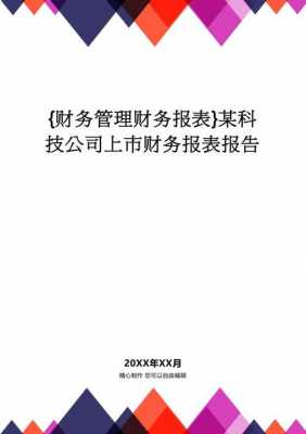 数码科技公司财务处理报告（数码科技公司简介）