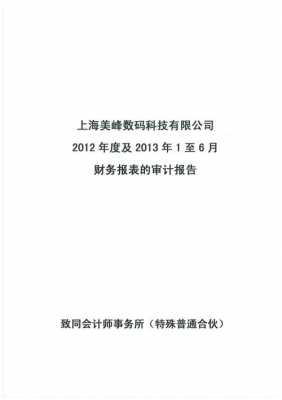 数码科技公司财务处理报告（数码科技公司简介）-图3