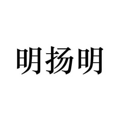 明扬数码科技存储店怎么样（明扬电器有限公司）-图1