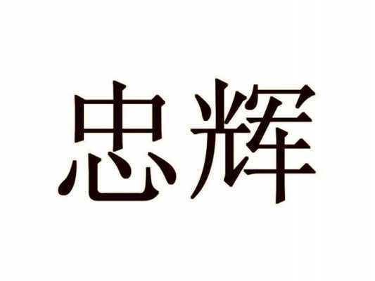 辉忠数码科技（辉忠 画）