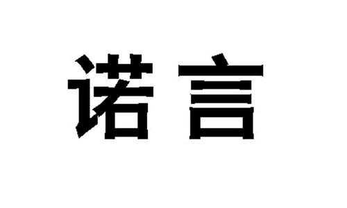 诺言3c数码科技（诺言oa）-图1