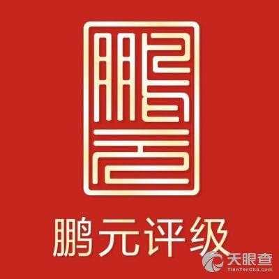 鹏元数码科技有限公司（鹏元电子）-图3