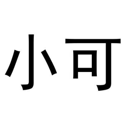 小可数码科技（晓可科技）