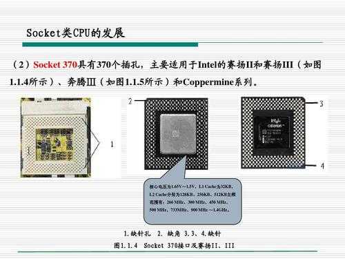 滨江赛扬数码科技（滨江赛扬数码科技招聘信息）-图2