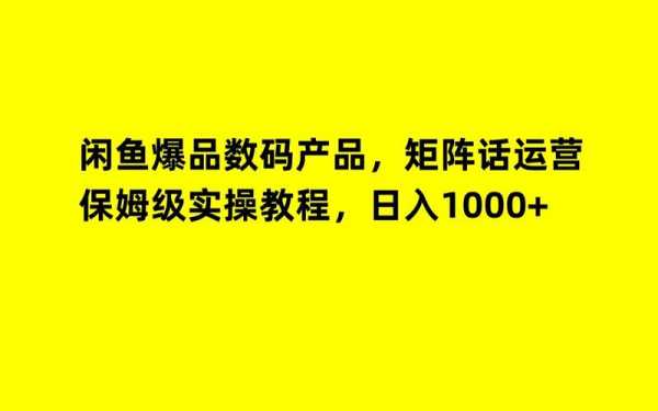 闲鱼瑞升数码科技怎么样（瑞升技术）-图2