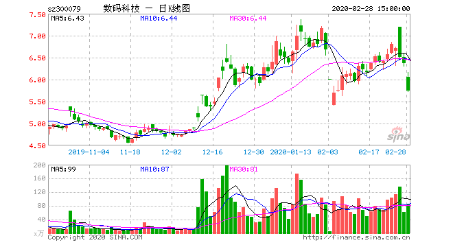 2019半年报数码科技（数码科技2020年目标价）