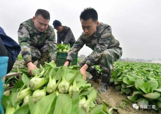 常德兵哥数码科技（湖南兵哥优送农业科技开发有限公司）-图2