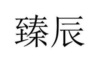 臻辰数码科技招聘电话查询（臻辰是什么意思）-图3