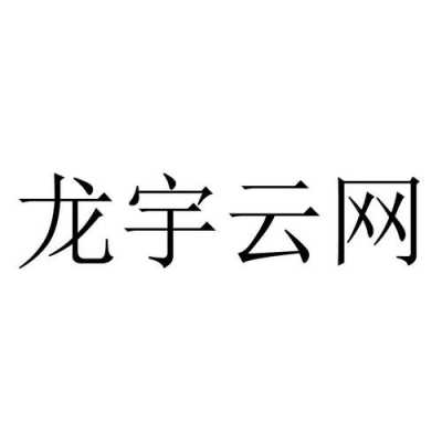 龙宇数码科技（龙宇网络科技）-图2