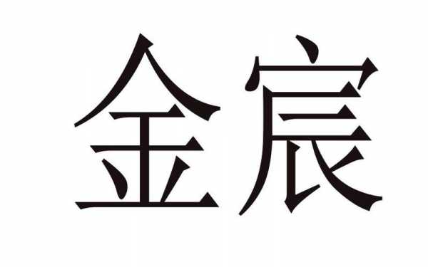 金宸手机数码科技（金宸资本投资有限公司）-图2