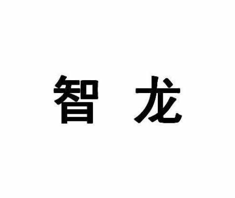 智龙数码科技有限公司怎么样（智龙数码科技有限公司怎么样啊）-图1