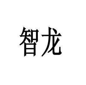 智龙数码科技有限公司怎么样（智龙数码科技有限公司怎么样啊）-图2