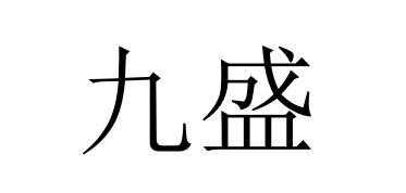 九盛数码科技（九盛数码科技怎么样）