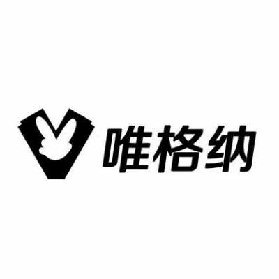 唯格数码科技有限公司怎么样（唯格电子有限公司）-图2