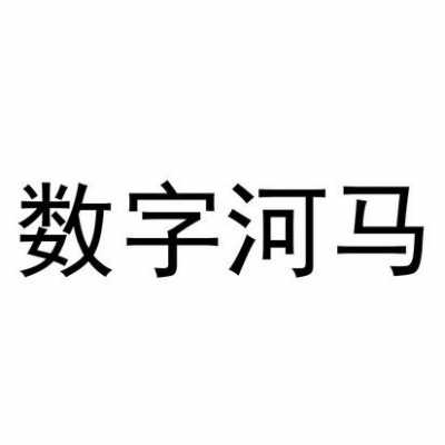 河马数码科技（河马数字科技有限公司）-图2