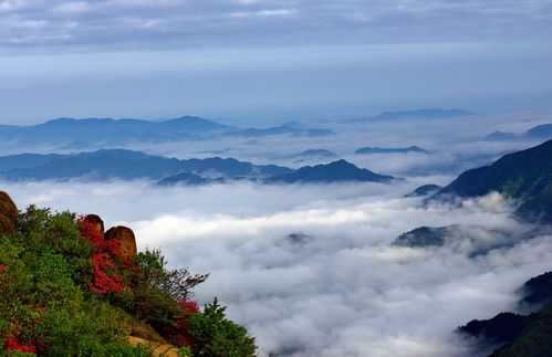 莲花云汇数码科技（莲花云海要门票吗）-图3