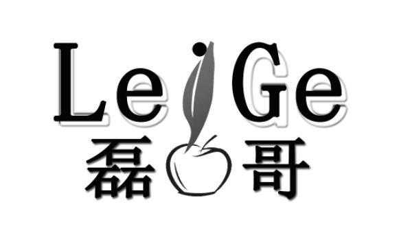 上海磊哥数码科技有限公司（上海磊哥数码科技有限公司怎么样）-图1