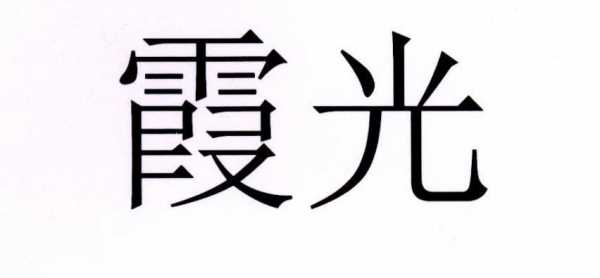 霞光数码科技招聘岗位要求（霞光照明电器有限公司）-图2