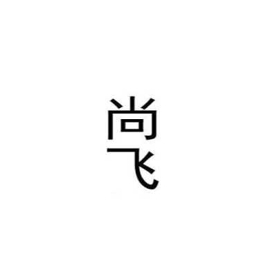 尚飞数码科技是干嘛的公司（尚飞logo）-图3