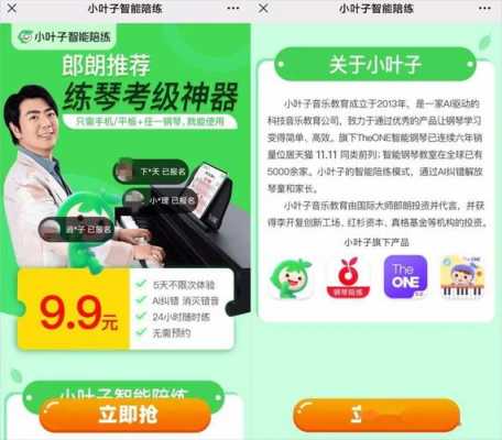 小叶子数码科技靠谱（小叶子科技有限公司电话）-图3