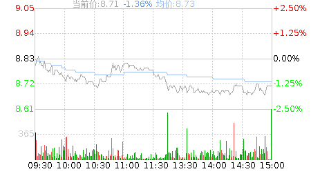 数码科技股票最新行情分析报告（数码科技 股吧）