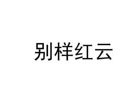 南京别样红数码科技（别样红信息技术有限公司）-图2