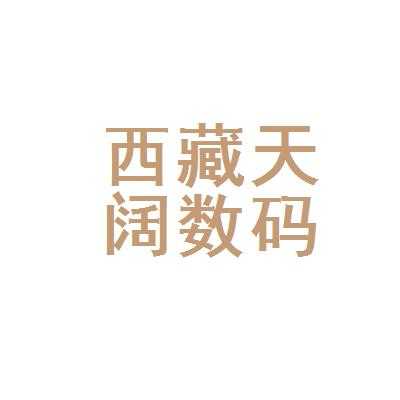 西藏数码科技（西藏数字）-图1