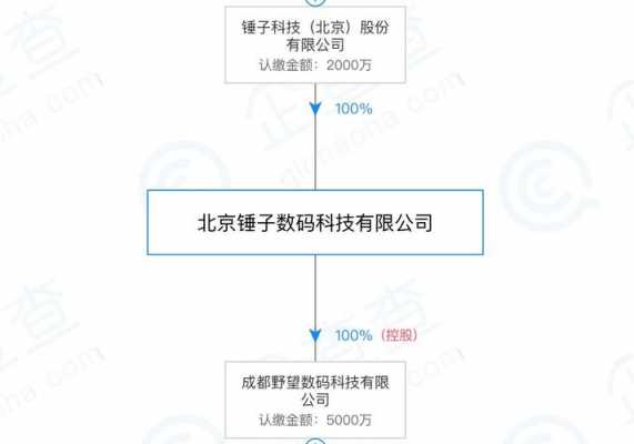 四川野望数码科技（成都野望科技有限公司）-图1