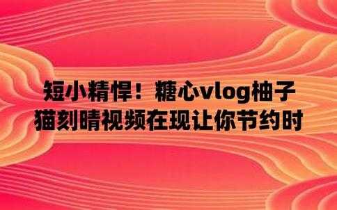 小胖子数码科技官网下载（小胖子vlog）