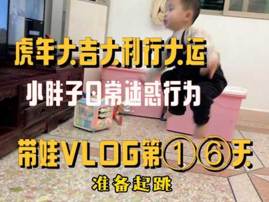 小胖子数码科技官网下载（小胖子vlog）-图3