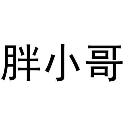 胖小哥数码科技有限公司（胖小哥图片）