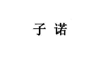 子诺数码科技（子诺金融服务有限公司）