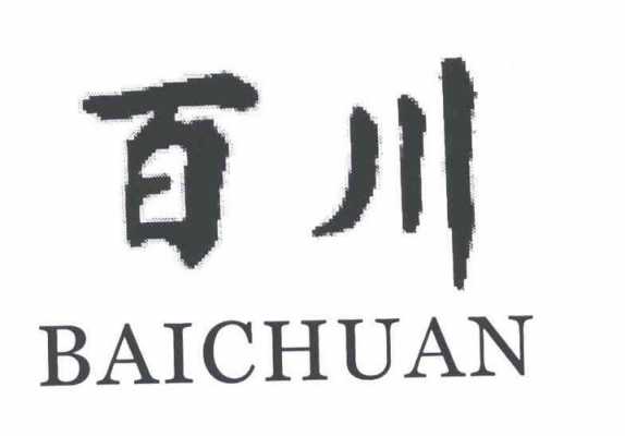 恩施百川数码科技（武汉百川智能科技有限公司）