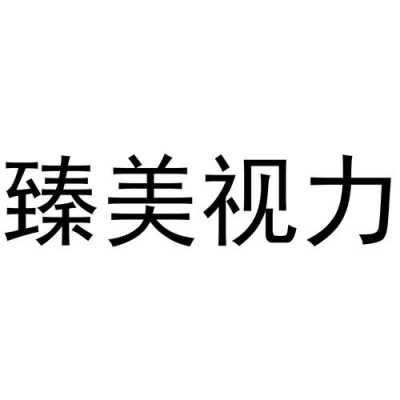 臻视数码科技有限公司（臻视力官网）-图2