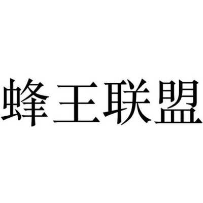 蜂王数码科技公司（蜂王国际）-图2