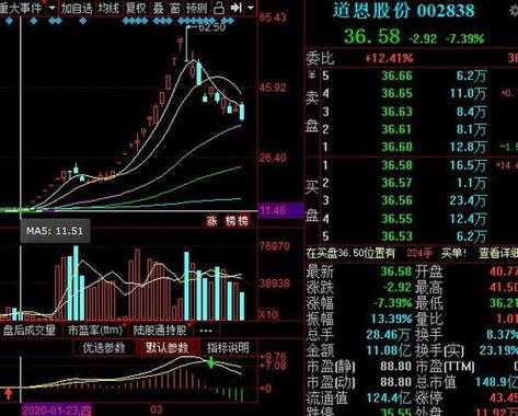 元博数码科技股票（元博股票什么时候上市）-图1