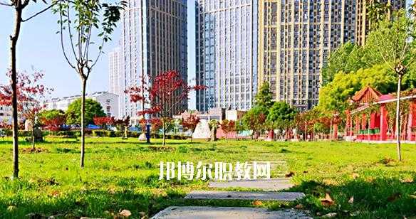 合肥飞跃数码科技招聘（合肥飞跃职业技术学校官网）-图2