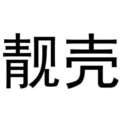 靓壳壳3c数码科技（深圳市靓壳科技有限公司）