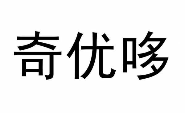 奇优数码科技有限公司（奇优2100）-图2