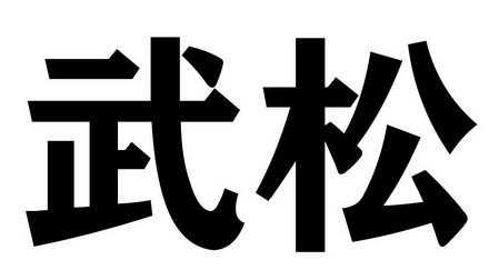 武松数码科技深圳有限公司（武松深简介）