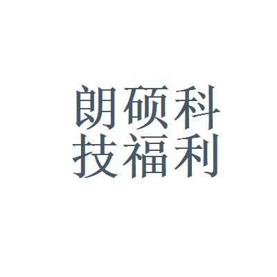 郎硕数码科技（朗硕科技有限公司）-图2